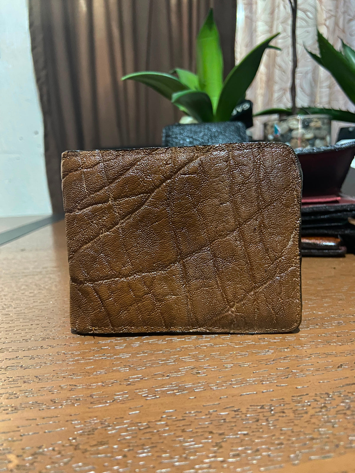 Cartera de elefante